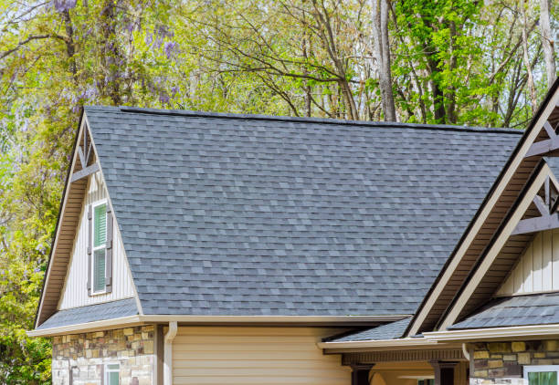 Best Roof Maintenance and Cleaning  in Wolverine Lake, MI