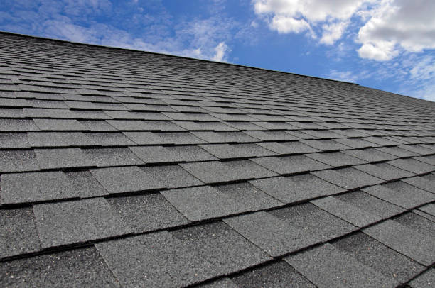 Best Roof Insulation Installation  in Wolverine Lake, MI