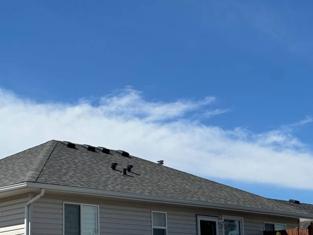 Best Roof Leak Repair  in Wolverine Lake, MI